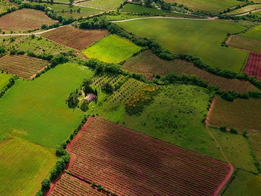 Field for Energy Creation
